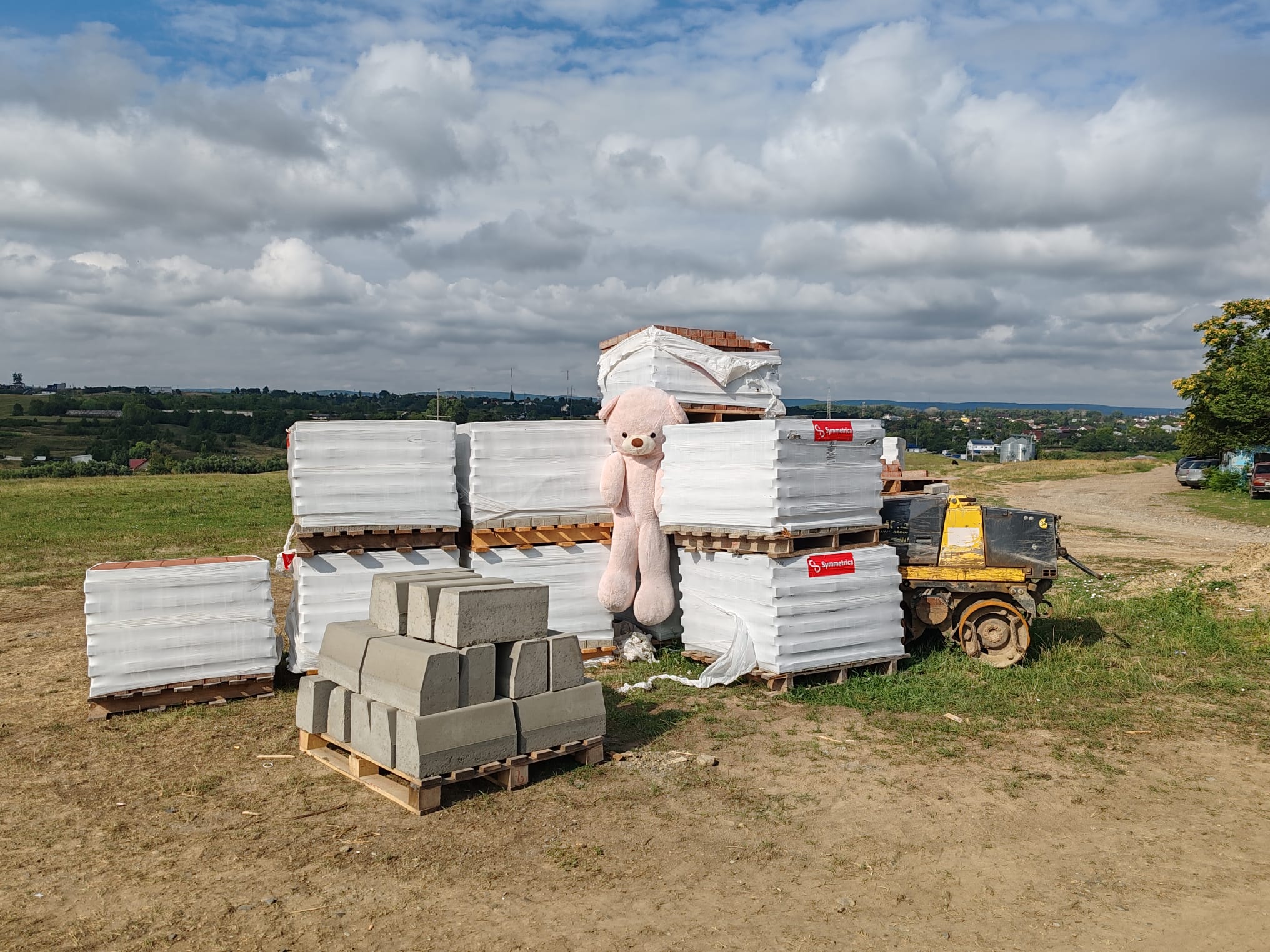 Poza zilei 8 august 2024 