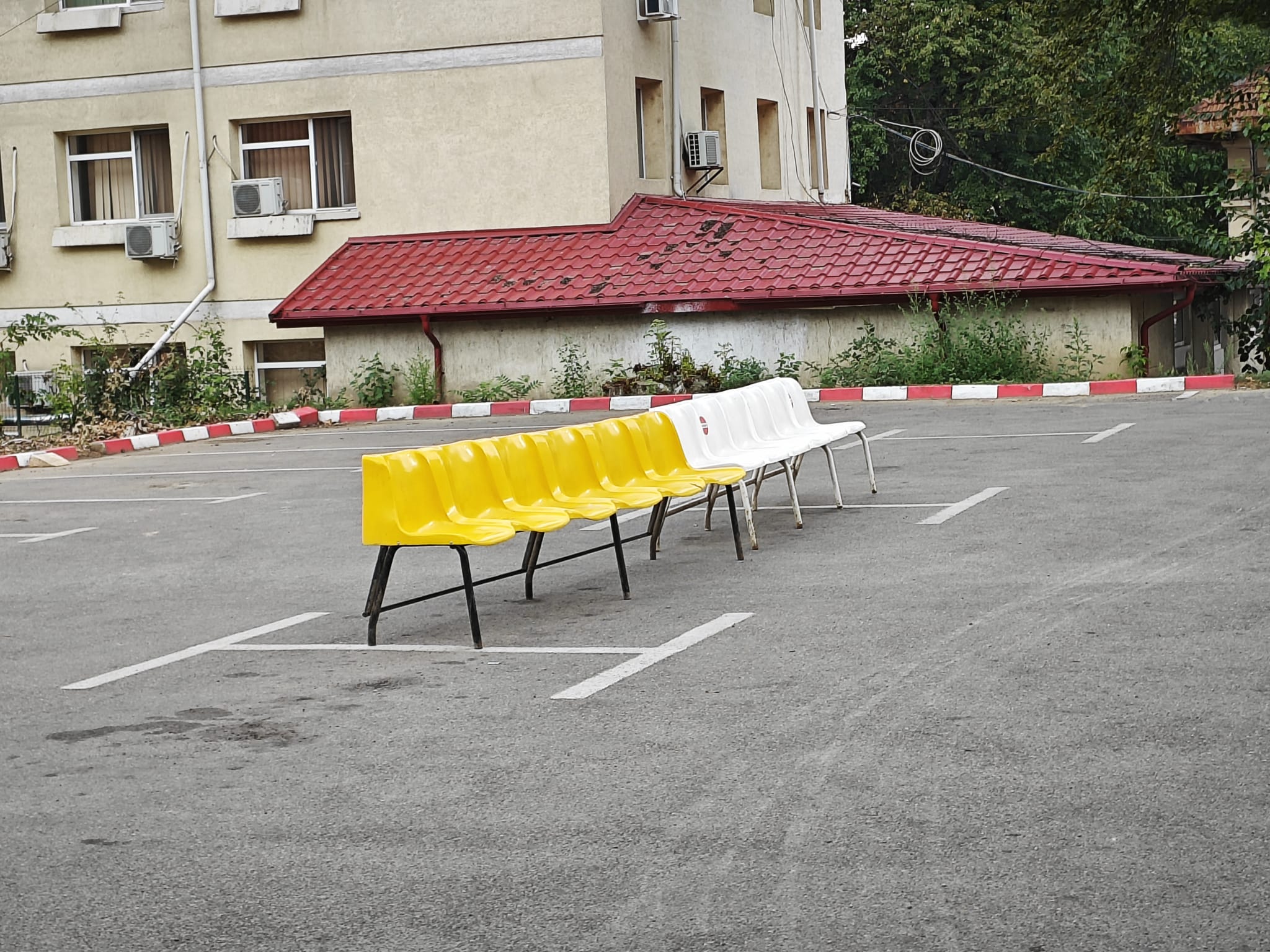 Poza zilei 4 septembrie 2024 