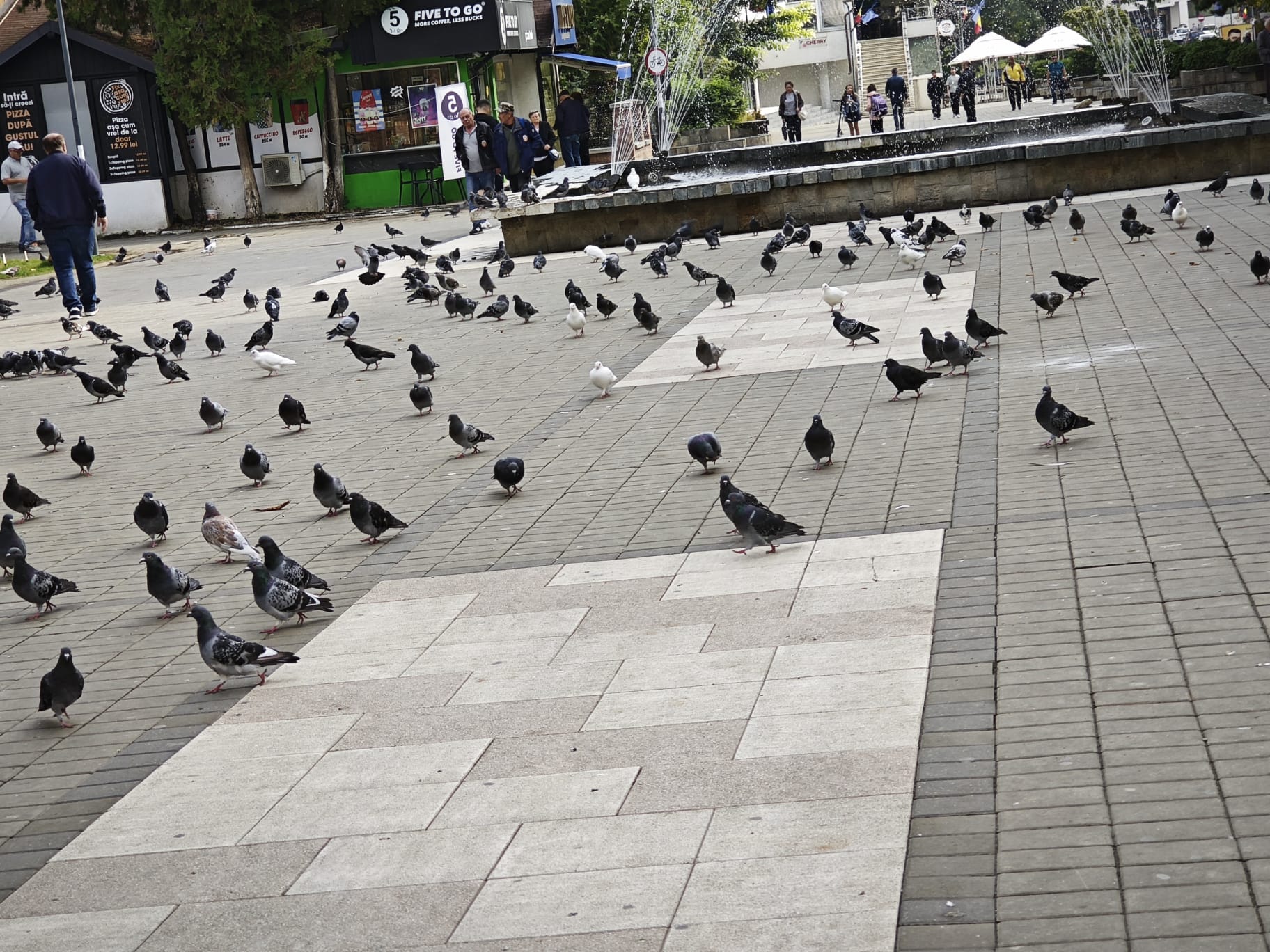 Poza zilei 19 septembrie 2024 