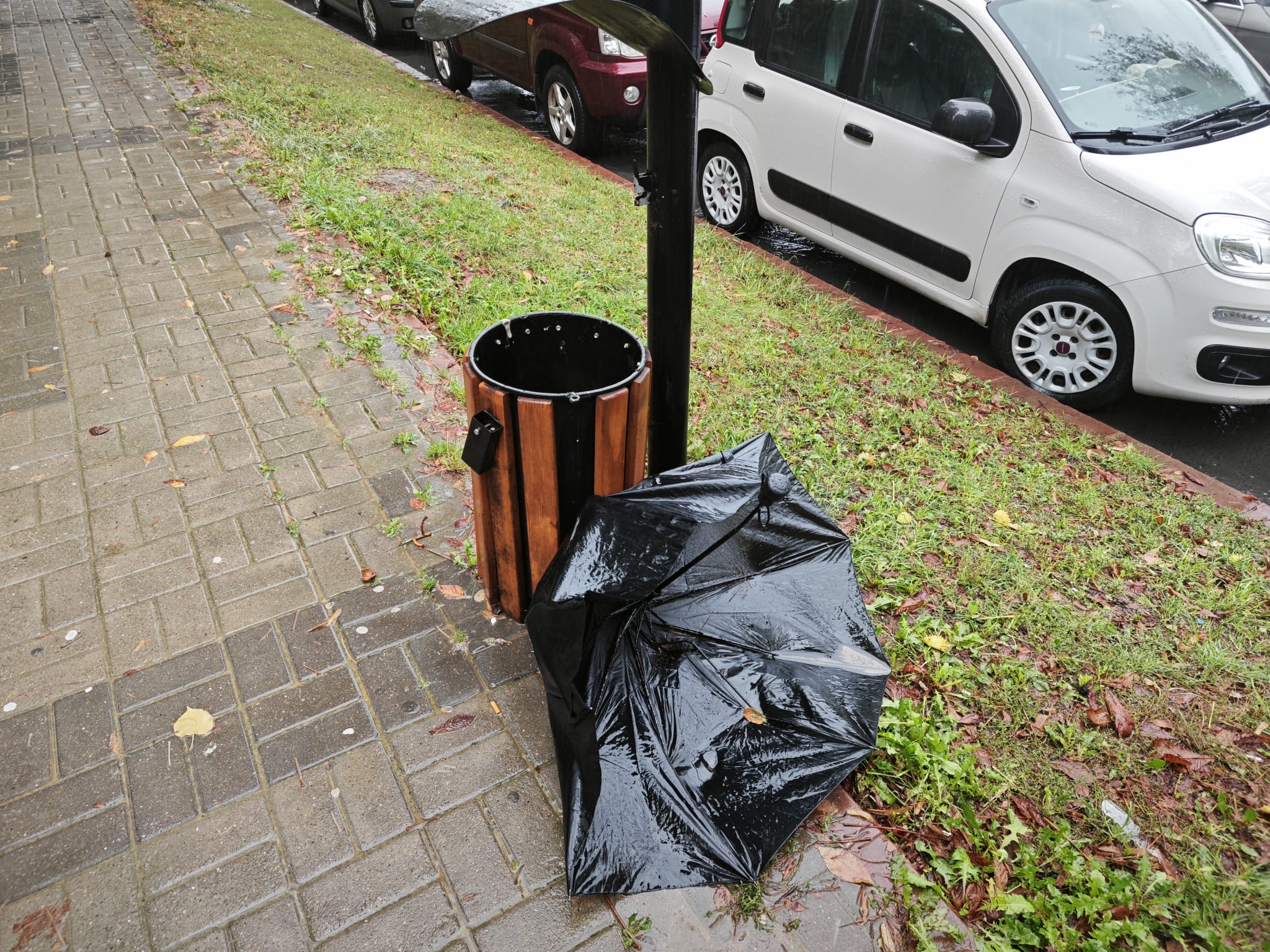 Poza zilei 18 septembrie 2024 