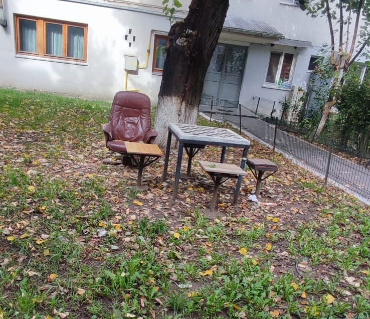 Poza zilei 7  octombrie 2024 