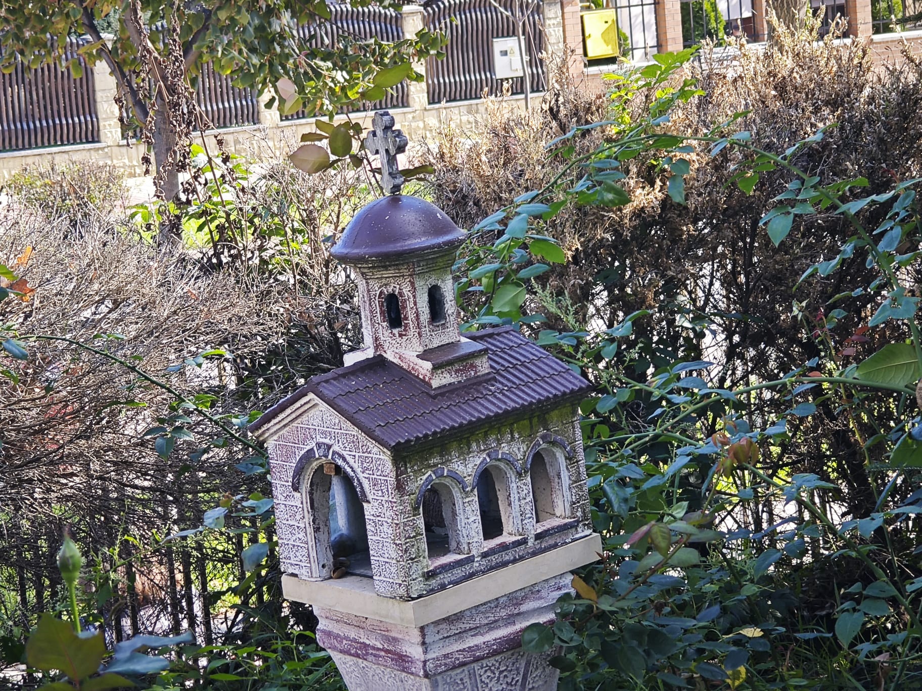 Poza zilei 3 octombrie 2024 