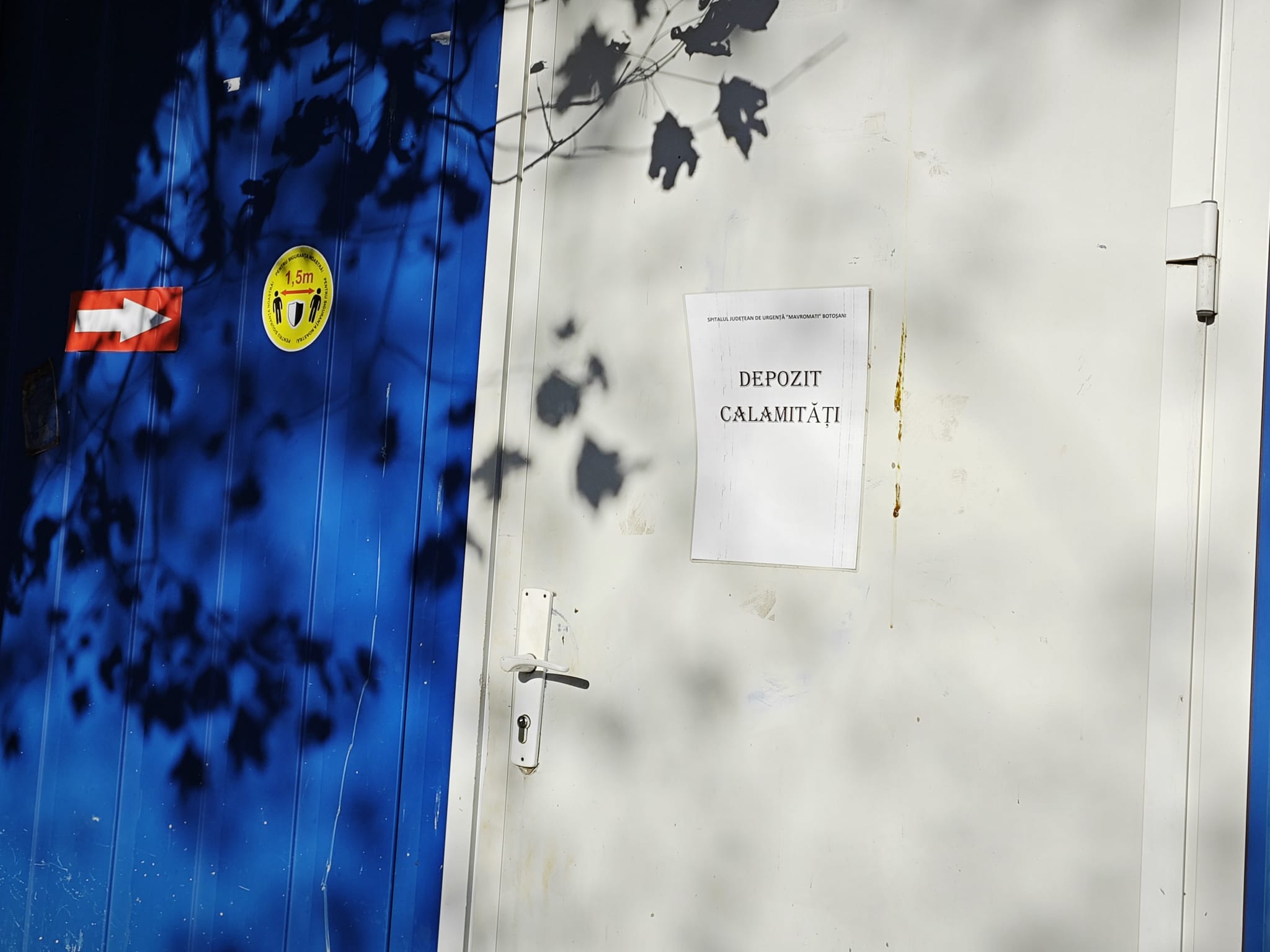 Poza zilei 9 octombrie 2024 