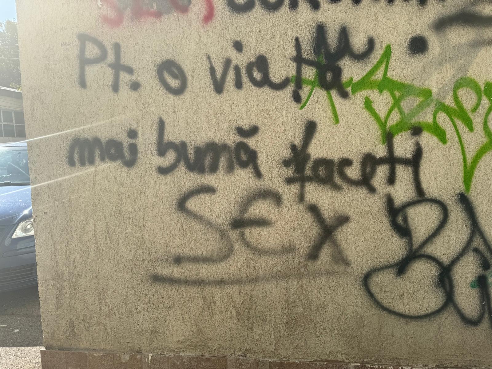 Poza zilei 15 octombrie 2024 