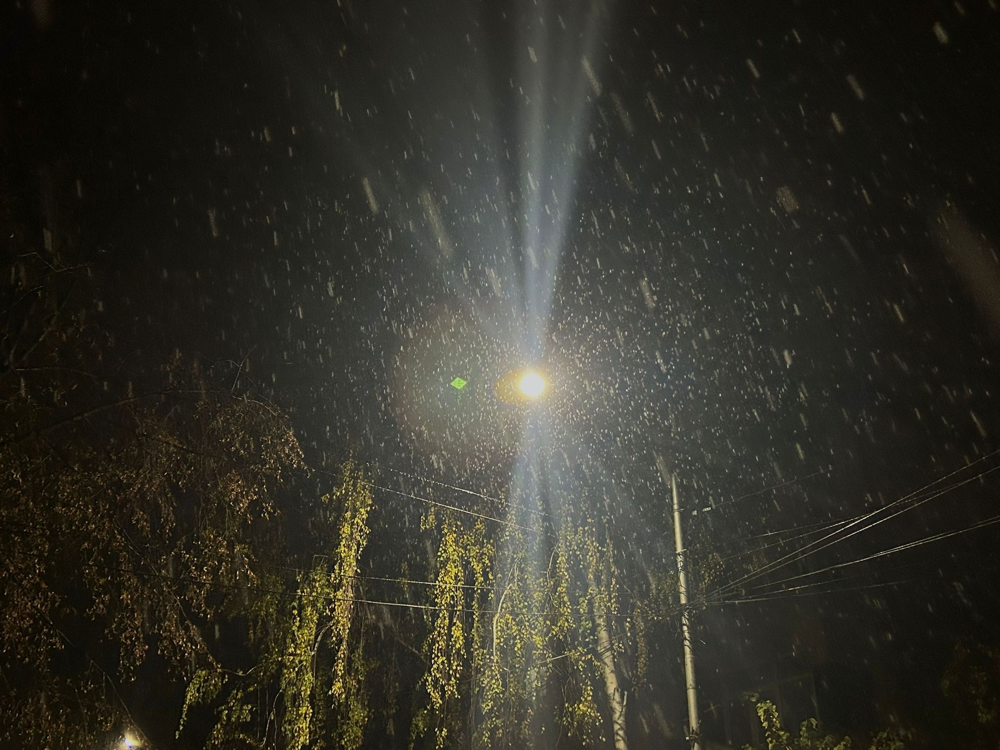 Poza zilei 15 noiembrie 2024