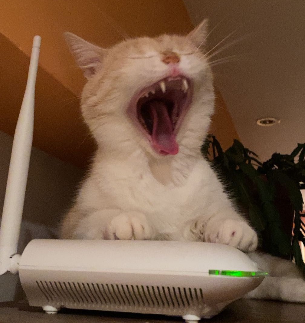 Poza zilei 9 ianuarie 2025 