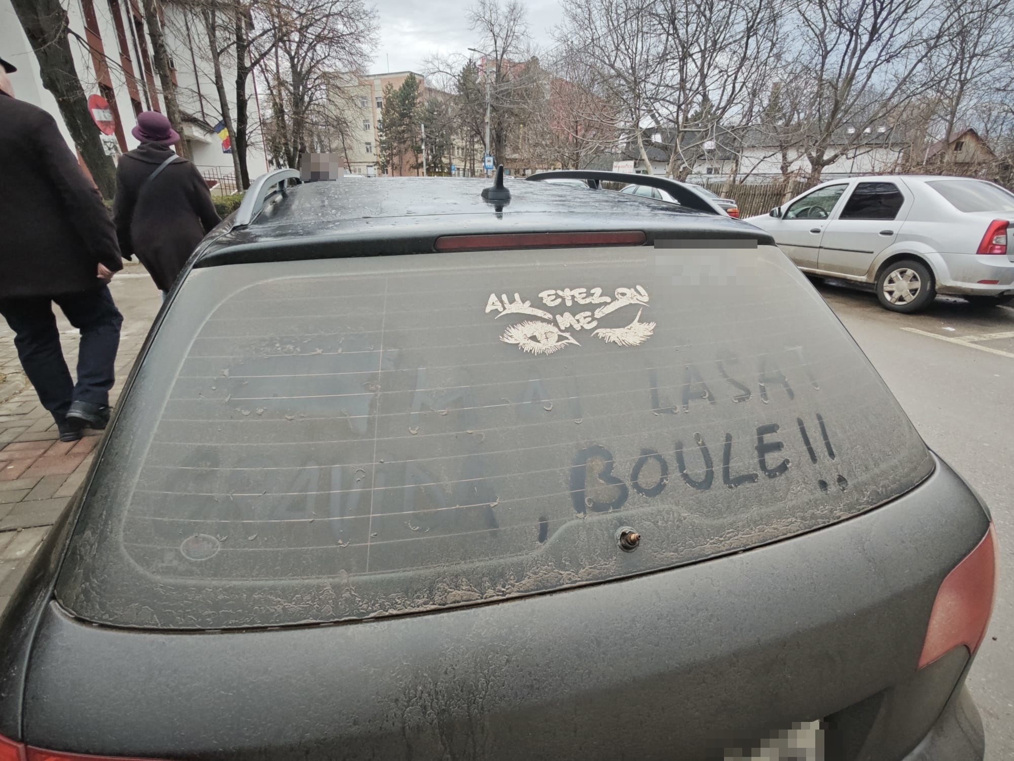 Poza zilei 20 ianuarie 2025