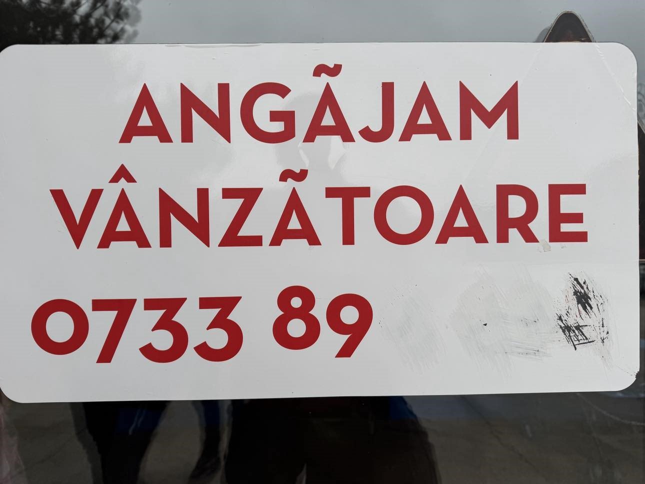 Poza zilei 29 ianuarie 2025 