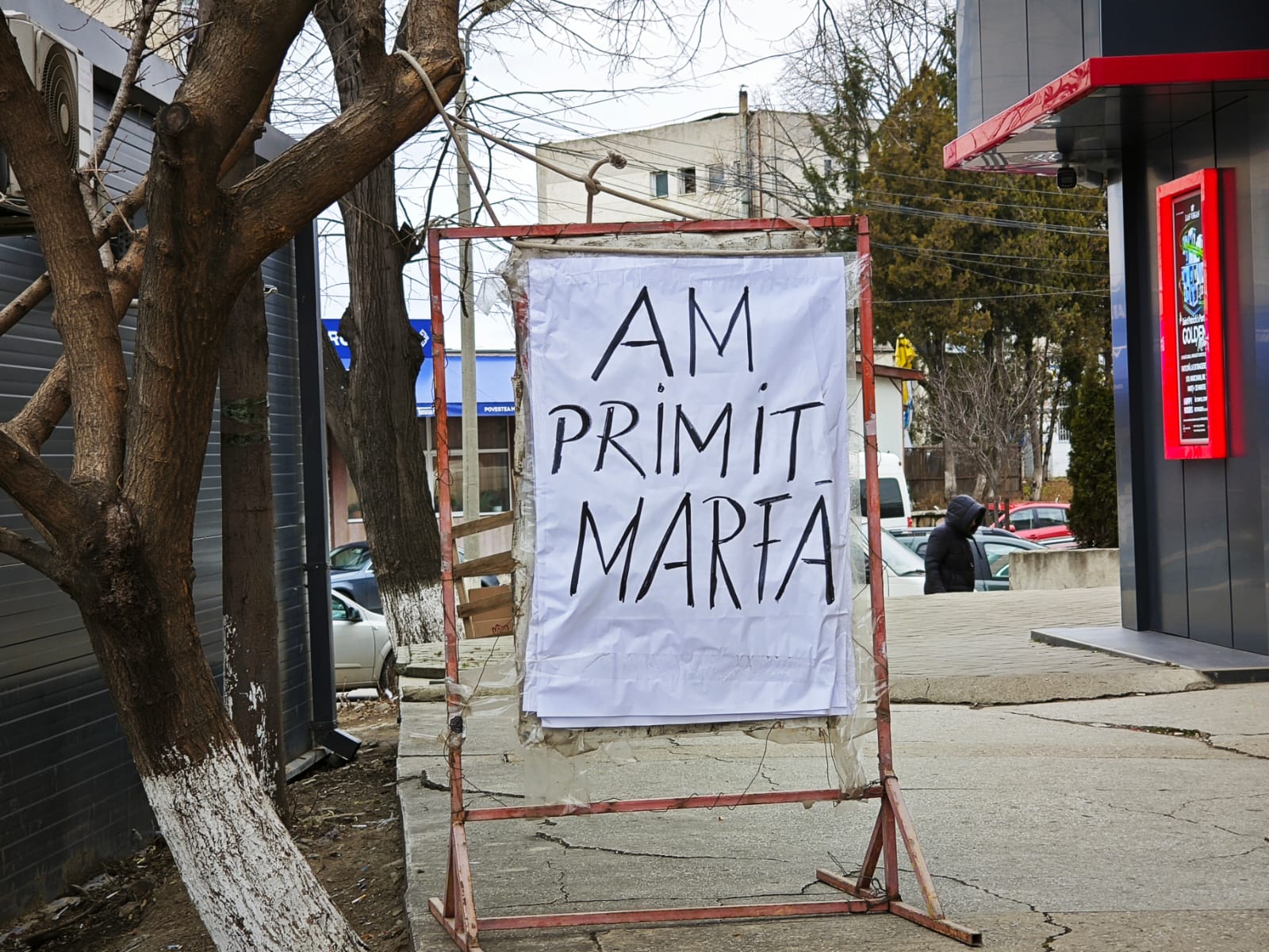 Poza zilei 4 martie 2025