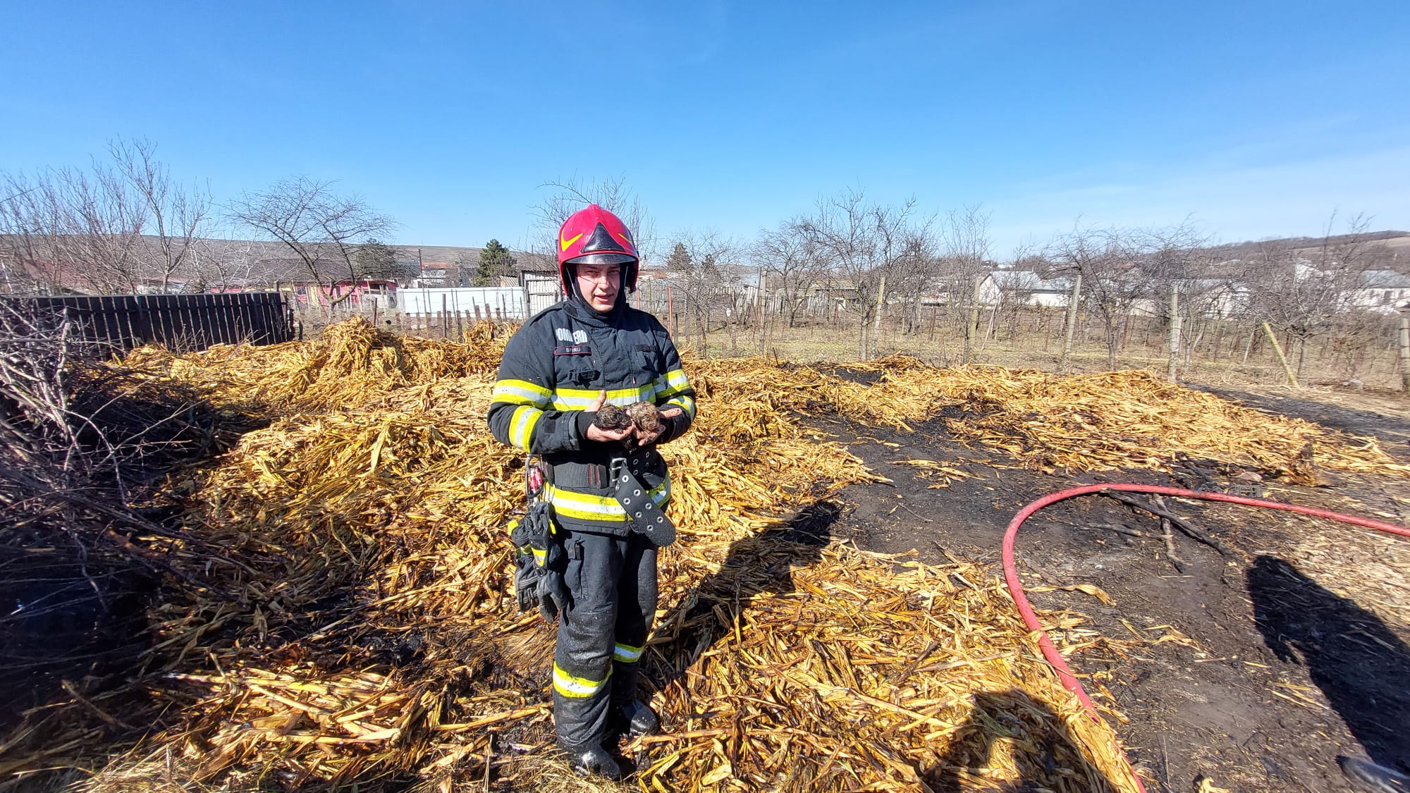 Patru incendii la Botoșani în ultimele ore, pompierii au salvat și doi cățeluși  