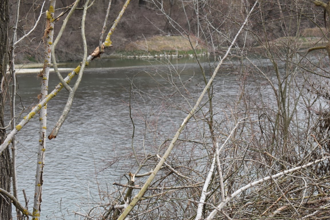 „Adoptă o fărâmă de Prut”: Campanie lansată pentru pescari, localnici și turiști 