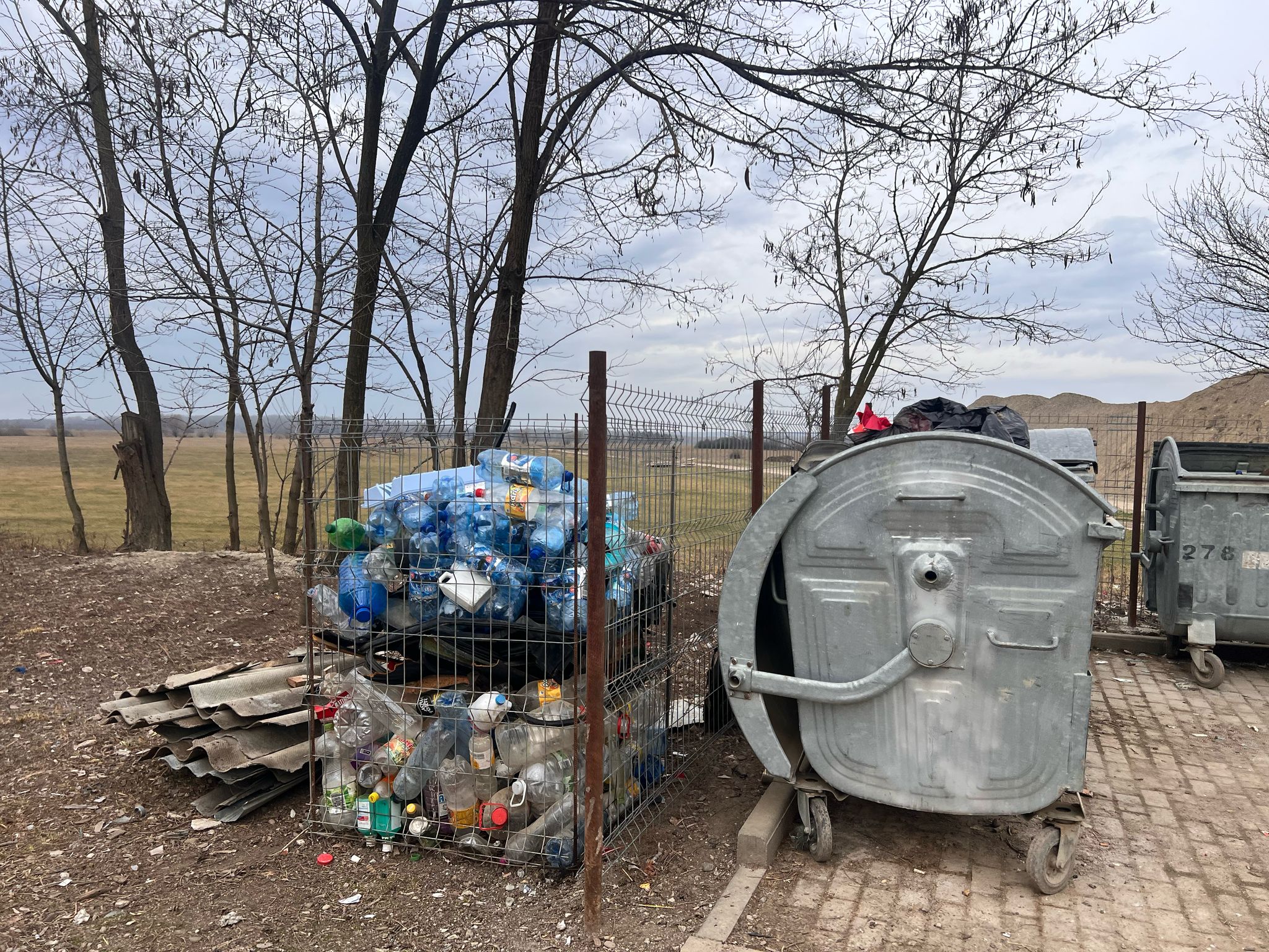 Poza zilei 17 martie 2025