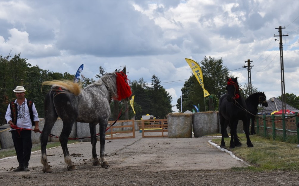 Târgul Regional de Zootehnie și Produse Tradiționale din Botoșani se amână: CÂND va avea loc