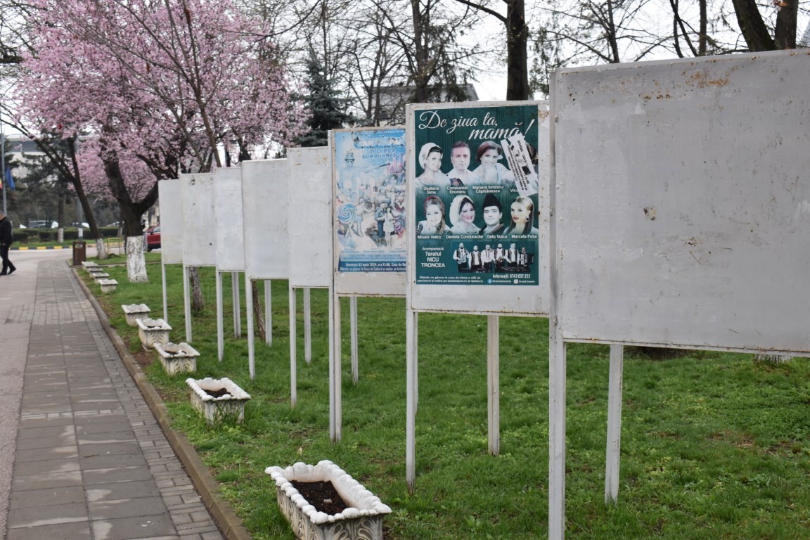 Poza zilei 31 martie 2025 