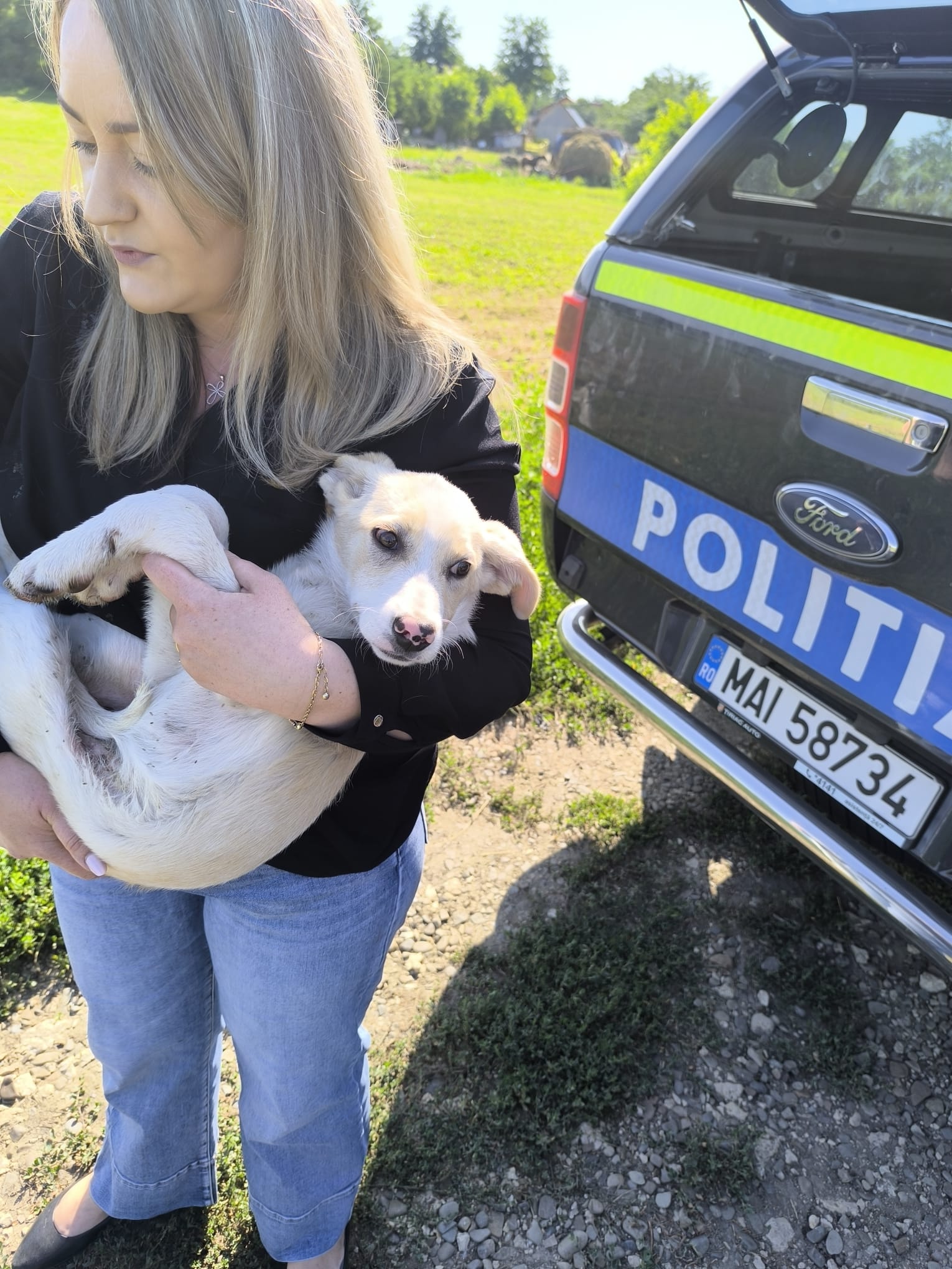 Femeia care a legat cățelul cu sârmă amendată cu 1.000 de lei – VIDEO 