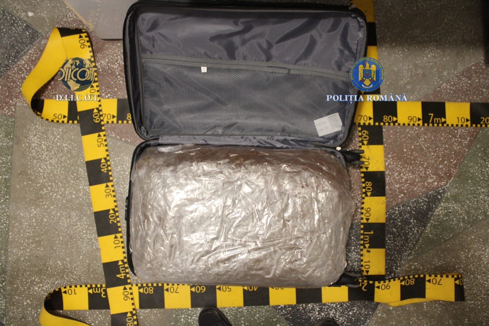 Trolere pline cu canabis descoperite de polițiști, bărbați arestați la Botoșani  