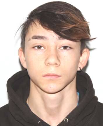 Minor din Botoșani, dispărut în Germania: Familia nu mai are nicio veste de la el de o lună 