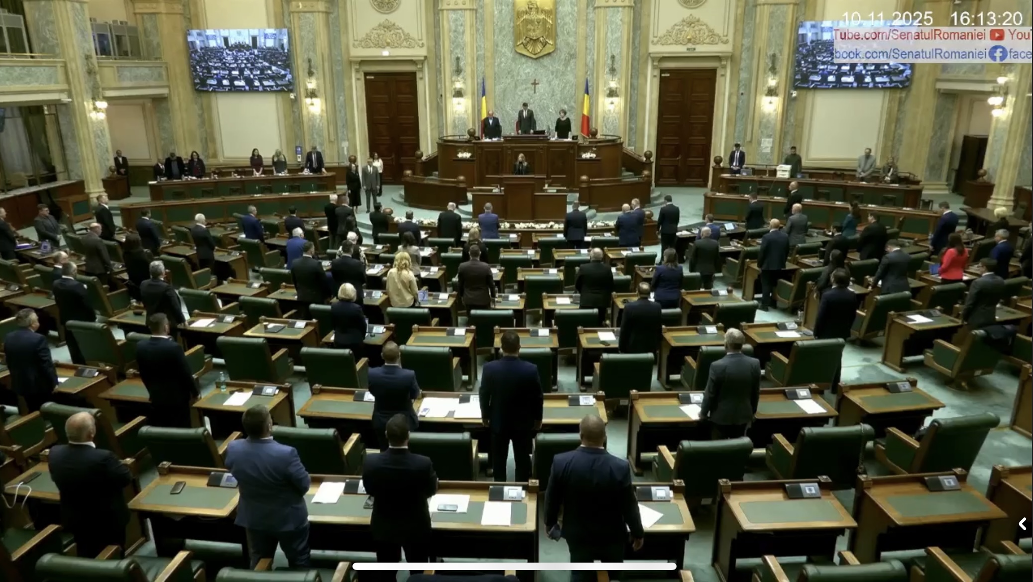 Moment de reculegere în Senat pentru victimele femicidului: "Poliția nu a reacționat"