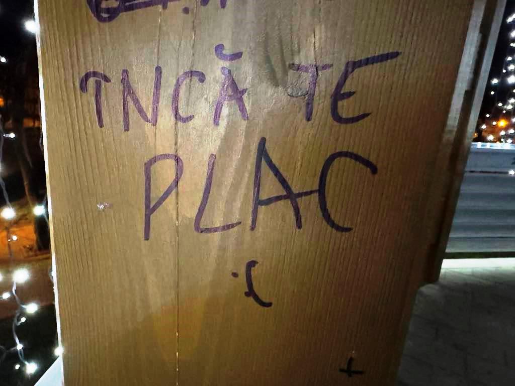 Poza zilei 7 ianuarie 2025 