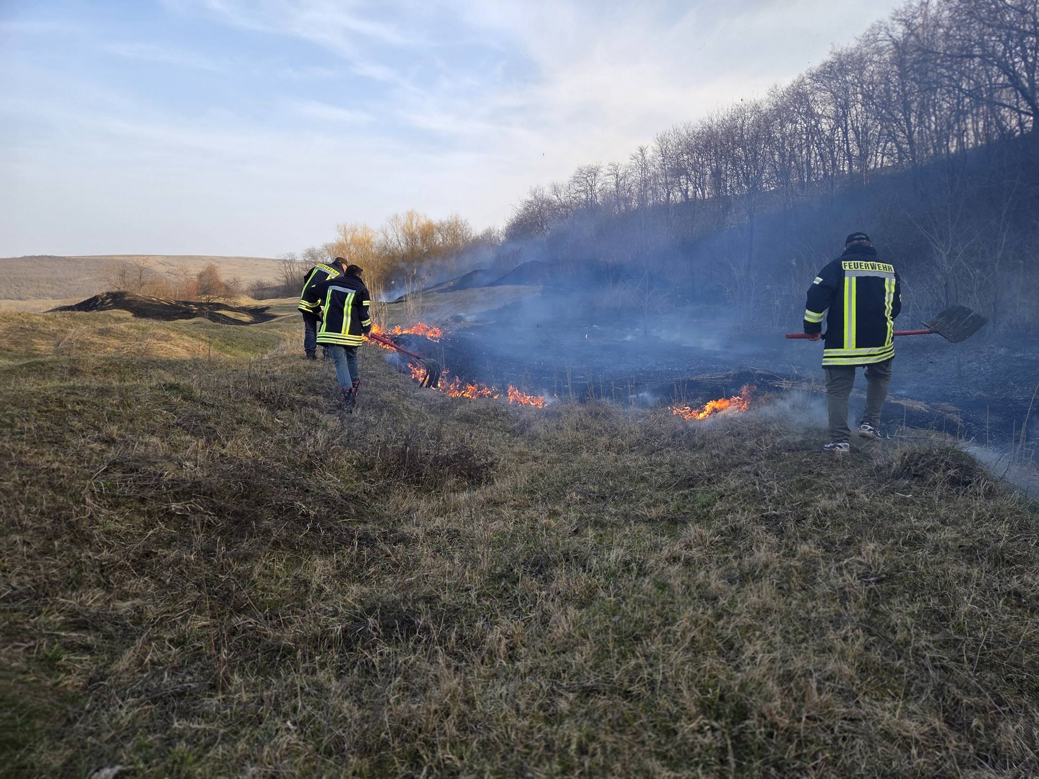 Primarul din Botoșani care a stins un incendiu pe câmp 