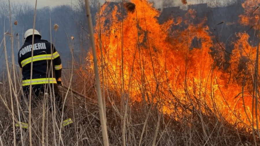 incendii stinse de pompieri