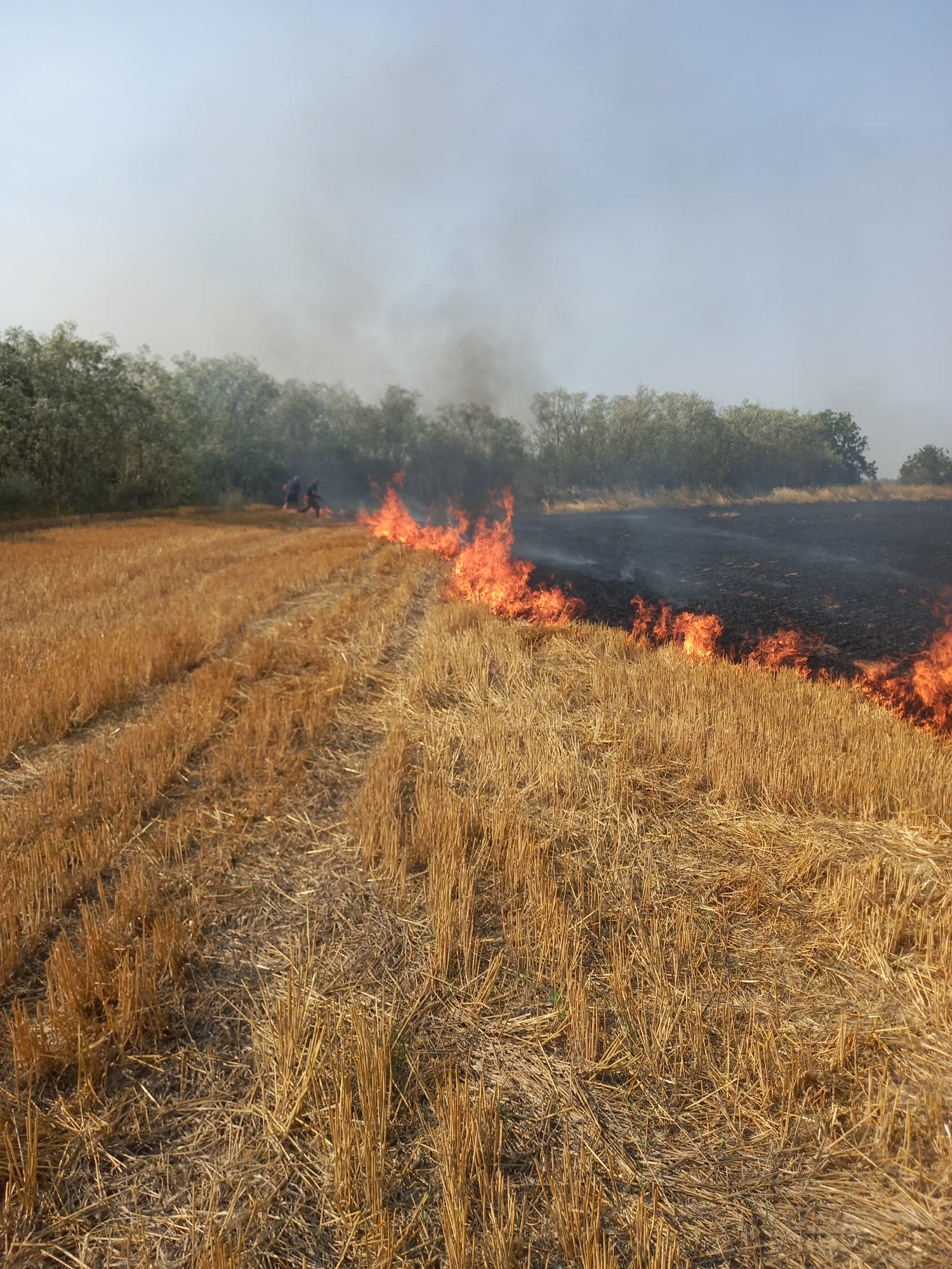 incendiu de proportii la botosani