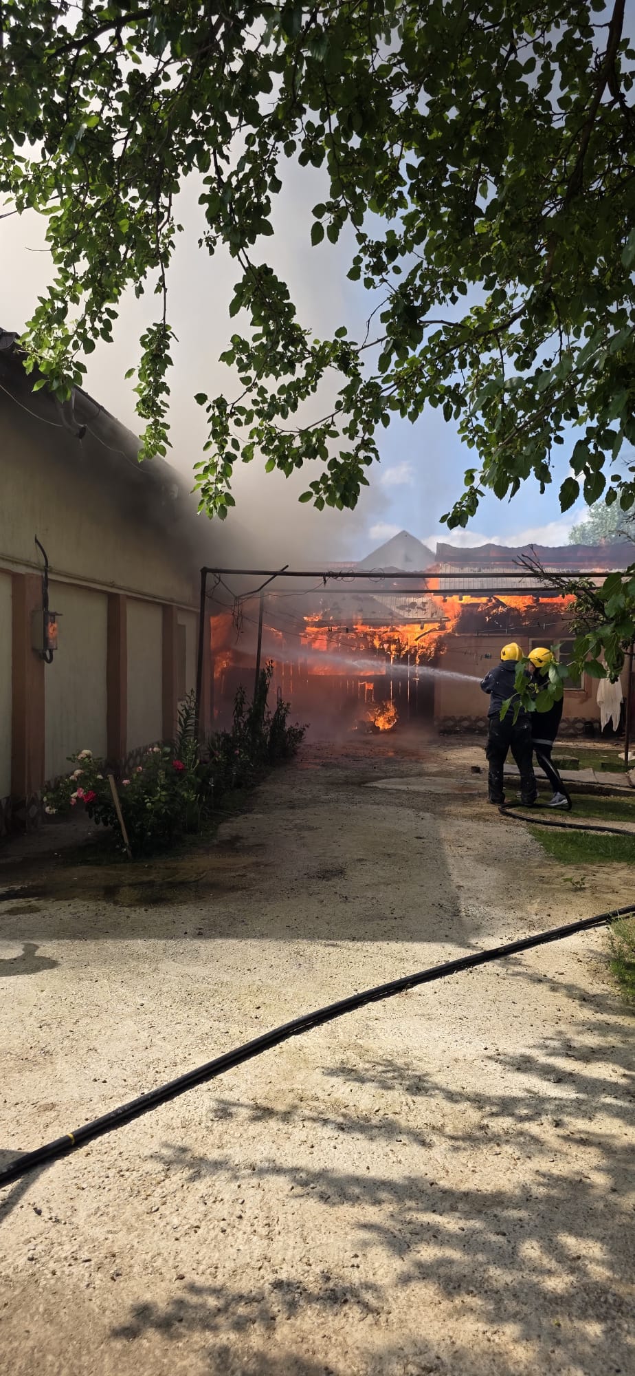 incendiu la Bucecea
