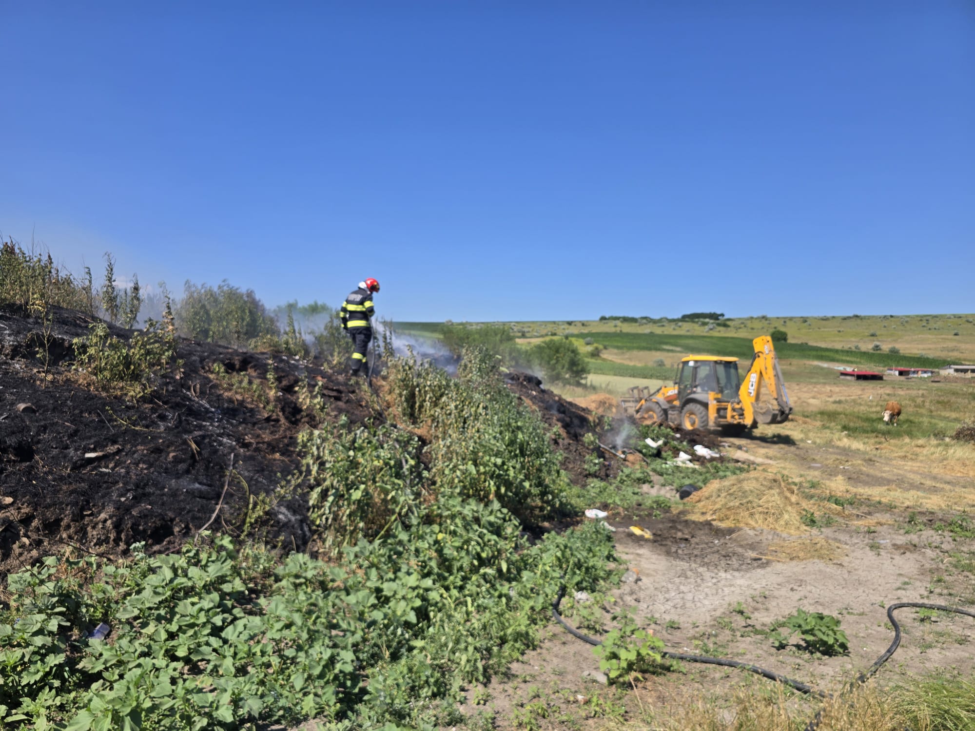 Patru incendii pe câmp la Botoșani, case salvate de pompieri – VIDEO 