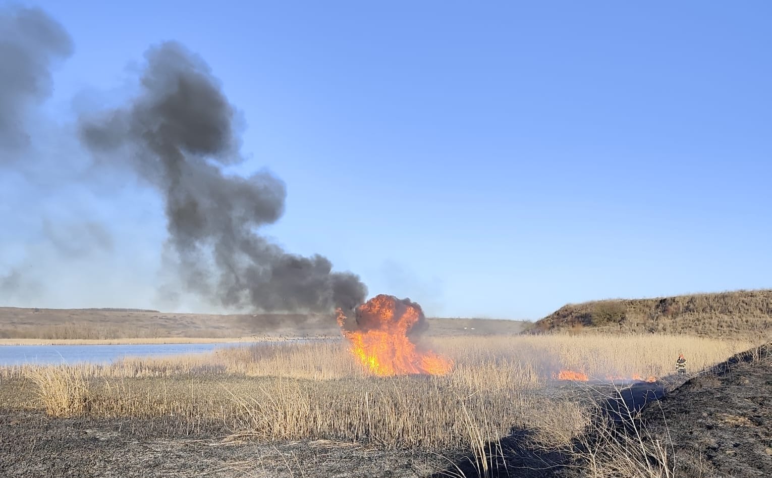 Ard câmpurile la Botoșani, nenorocire și la un adăpost de animale