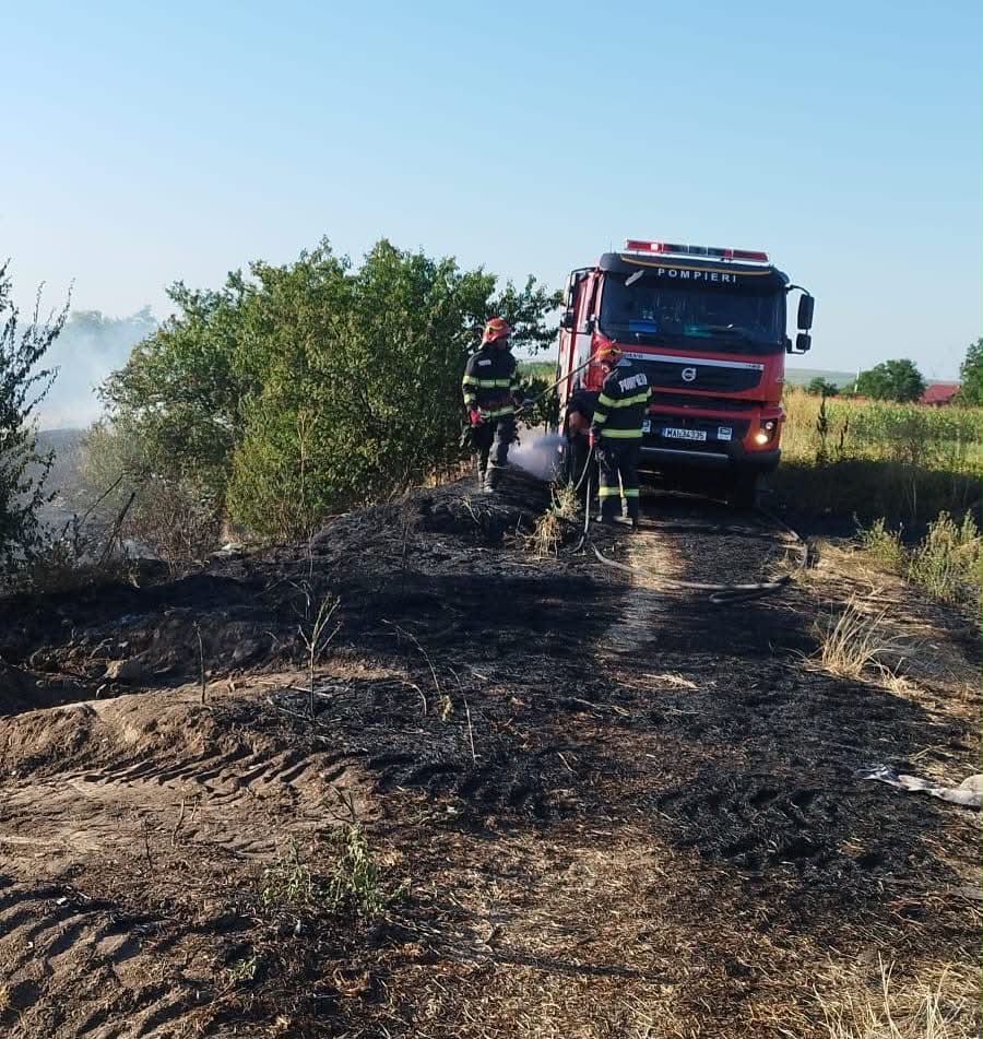 Imagine articol Imagine galerie Fisiere articol Încarcă Imaginea      Încarcă Fișiere     Bibliotecă Media  incendiu vegetatie botosani