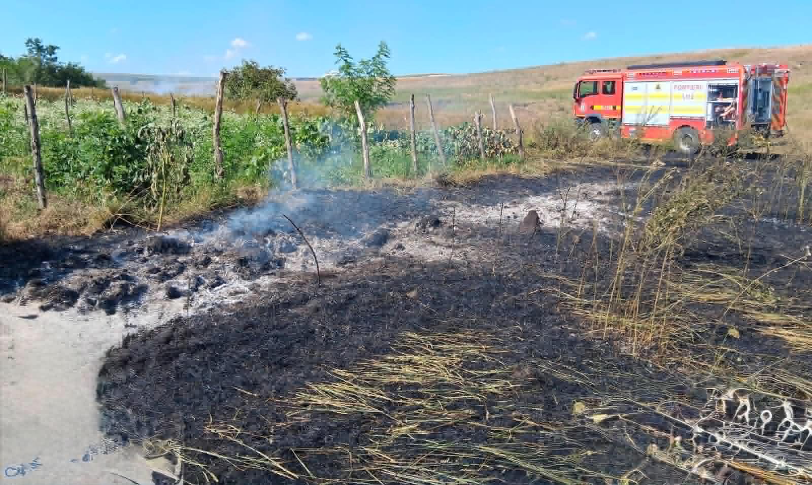 incendiu vegetatie