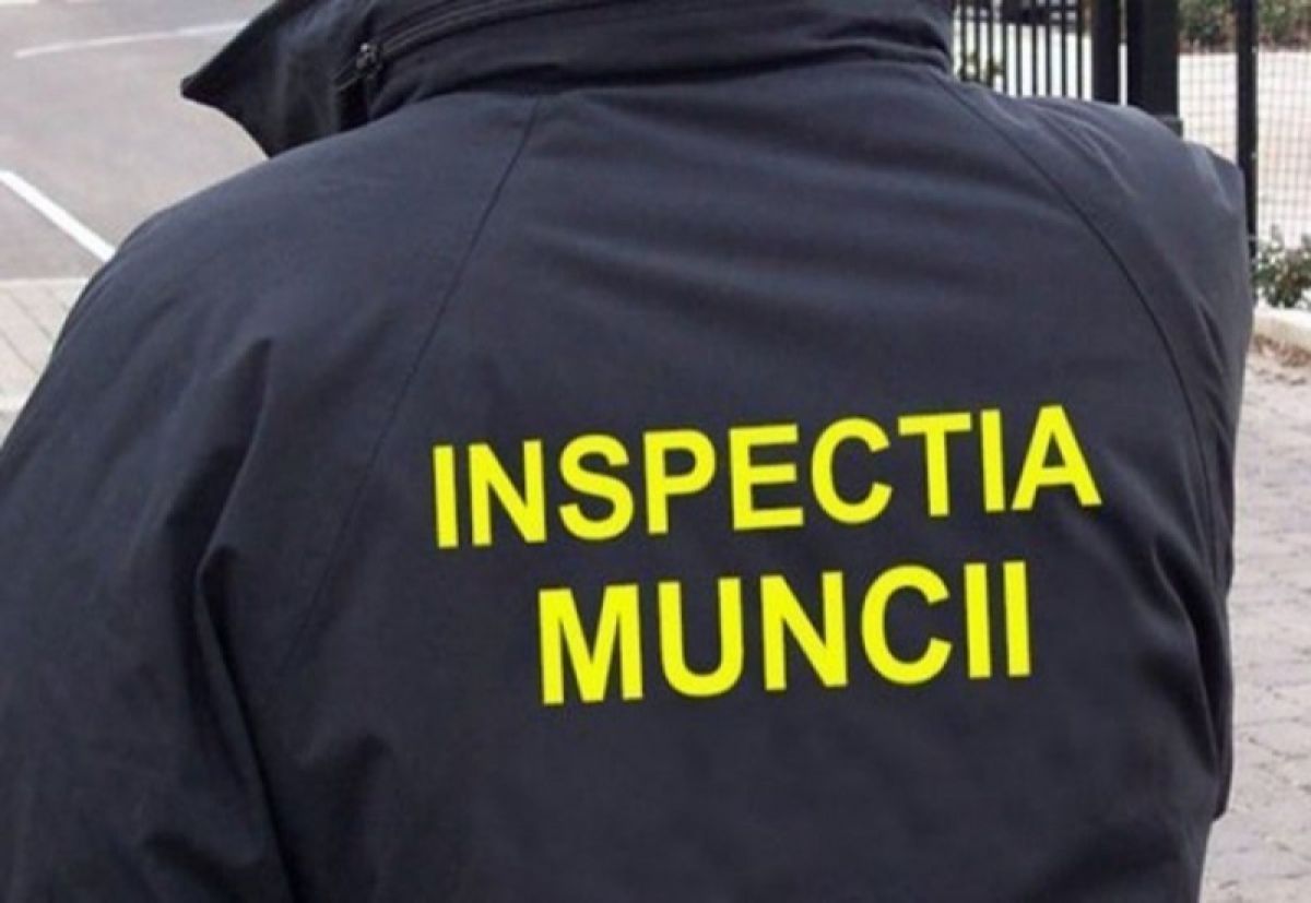 Transportatorii din Botoșani verificați de inspectorii de muncă: CE nereguli s-au găsit