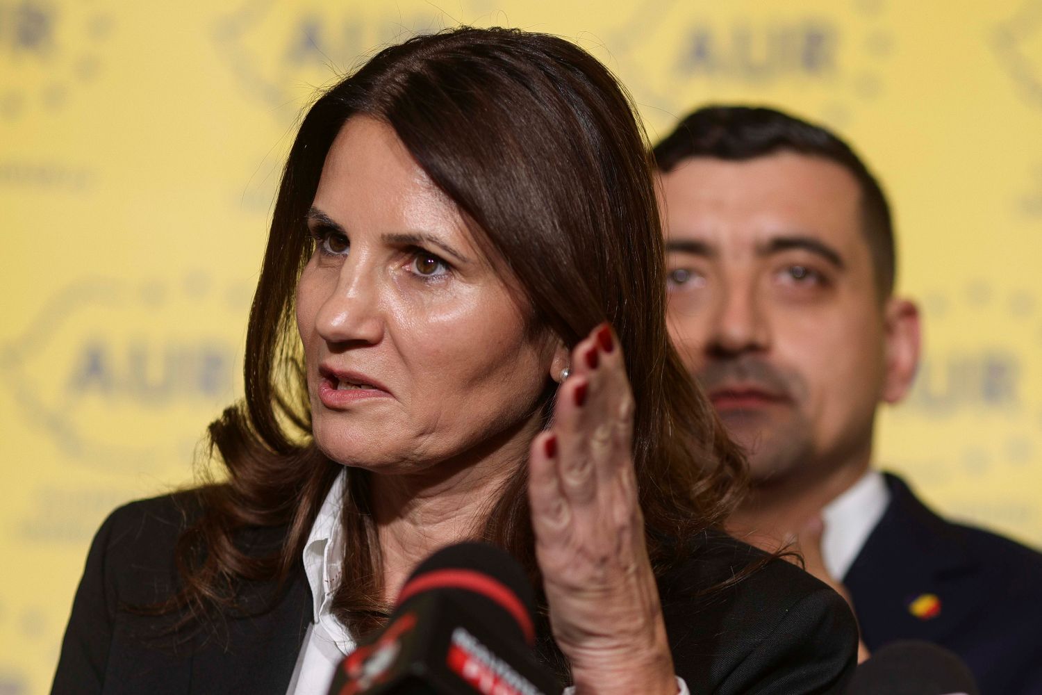 Scandalos! Anca Alexandrescu, în centrul unui dosar penal!