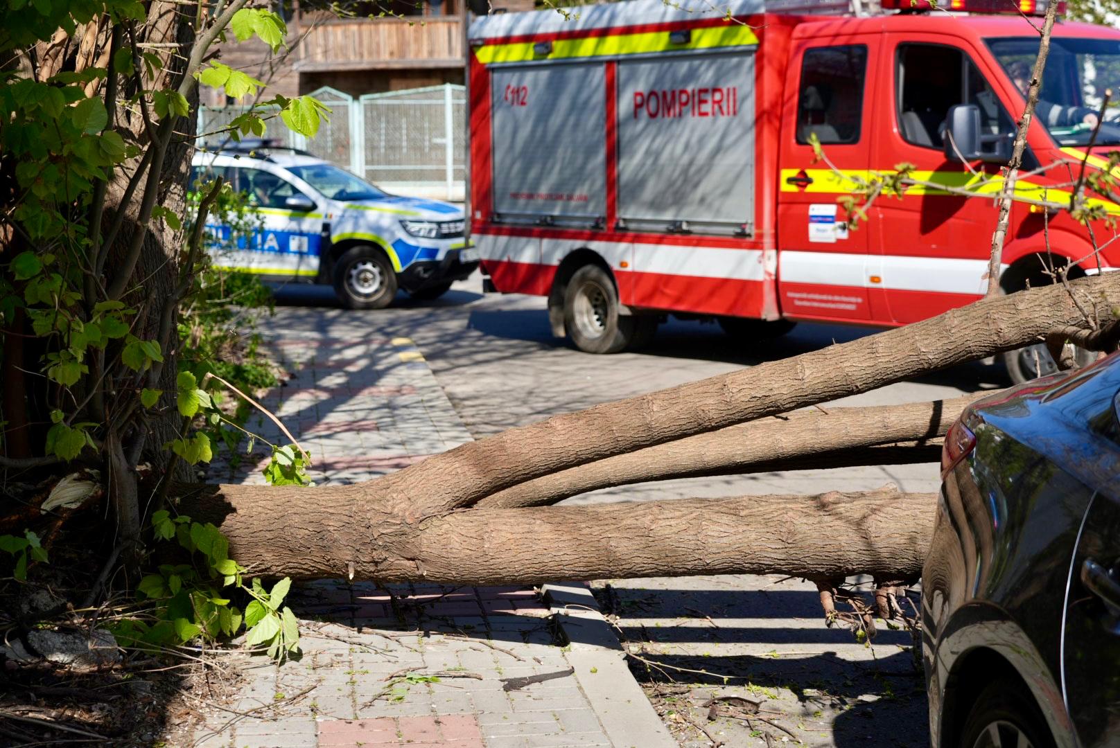 interventii ale pompierilor de la vant