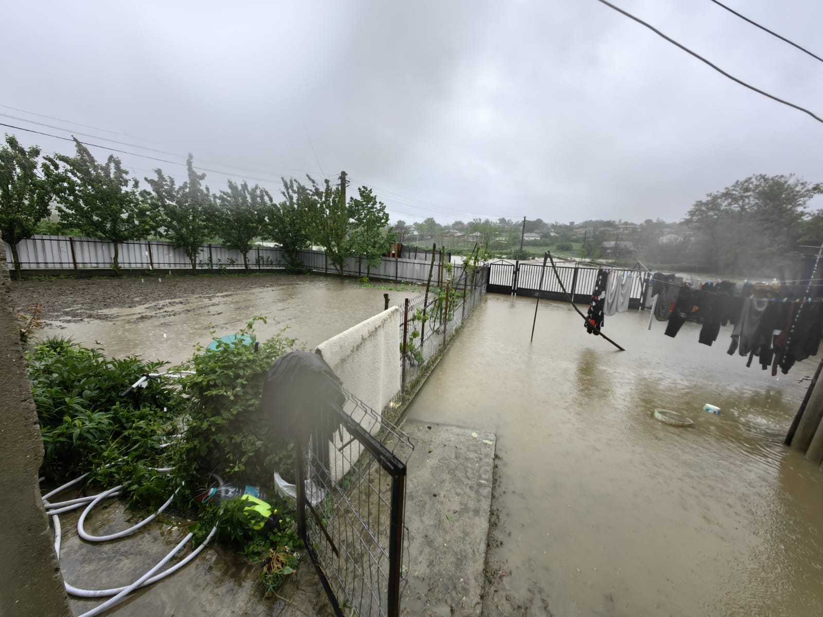 inundatii raul jijia.