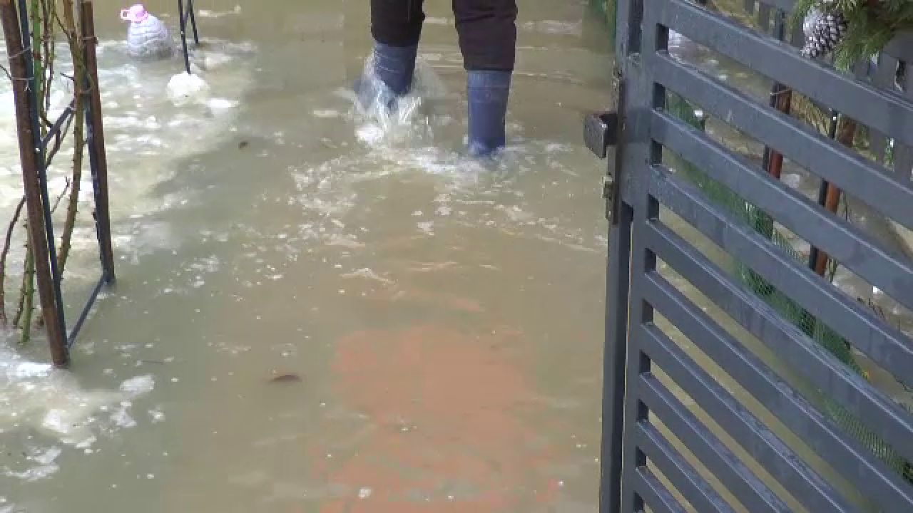 cod galben de inundatii