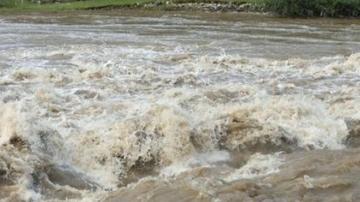 cod galben de inundatii