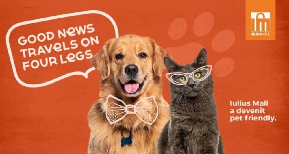 Iulius Mall Suceava.j