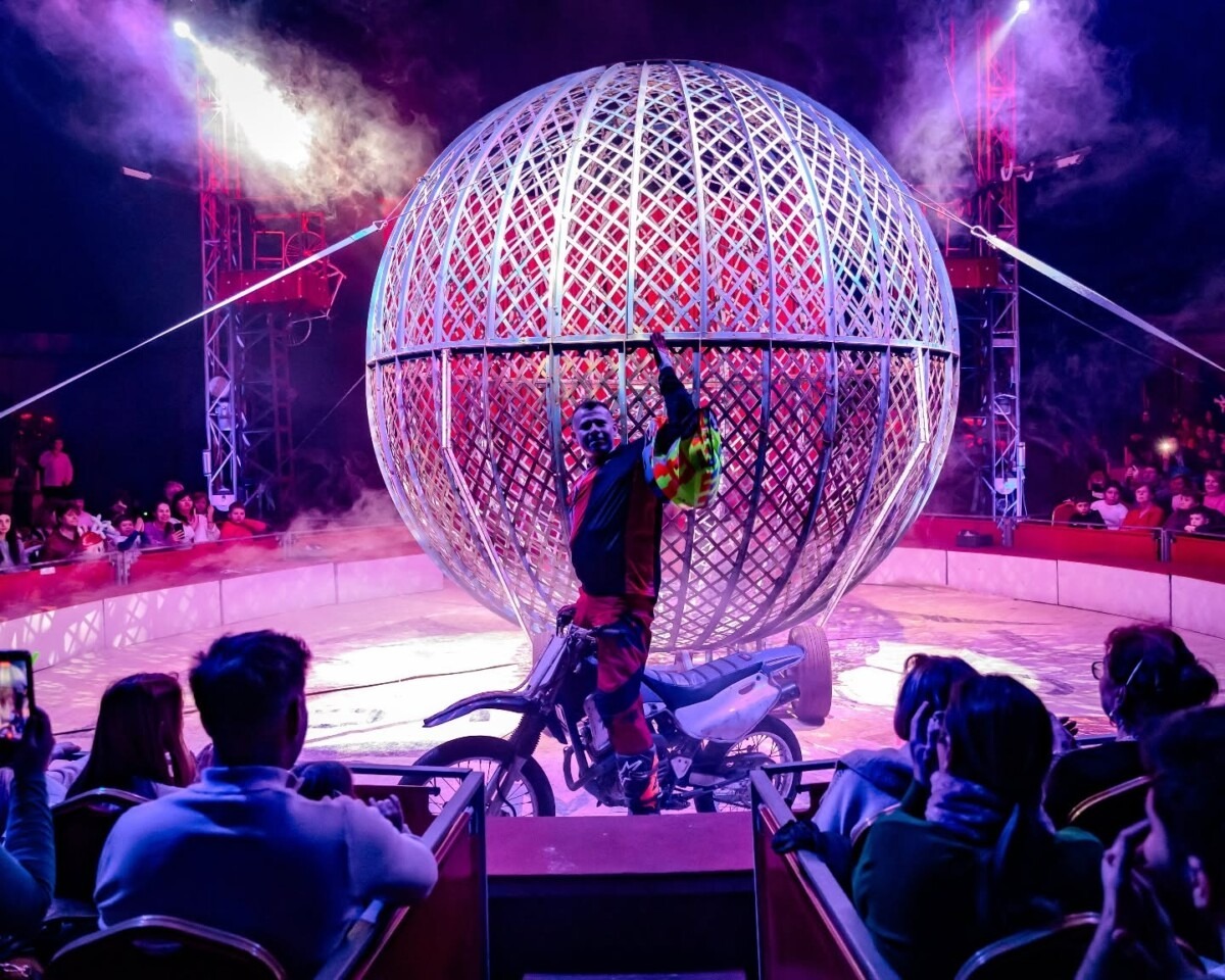 activitati in weekend la iulius mall