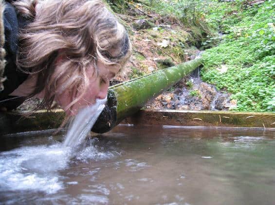 APEL de la primar pentru oamenii din comunitate: NU consumați apă din aceste izvoare – DOCUMENT 