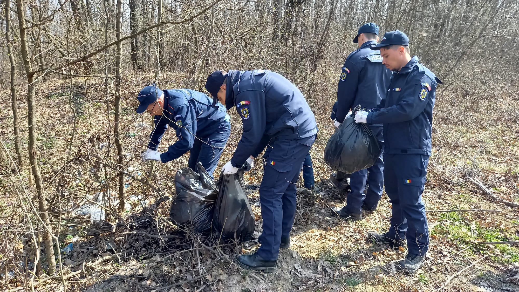 jandarmii au facut curatenie in Padurea Rediu