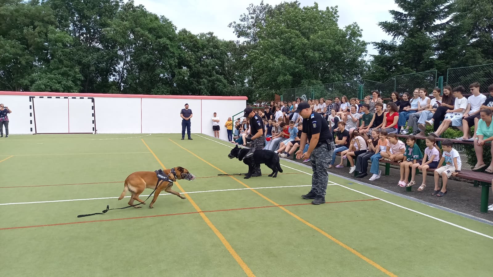 Jandarmii au făcut spectacol în fața a peste 1.000 de tineri la Agafton – VIDEO 