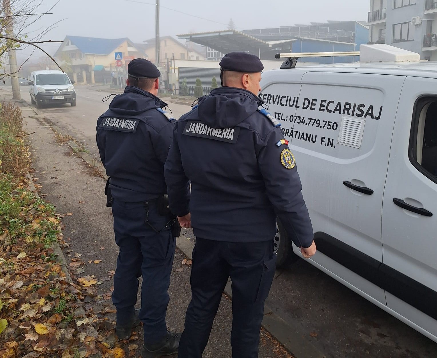 Câinele unei femei din Botoșani cules de pe stradă de hingheri la cererea jandarmilor