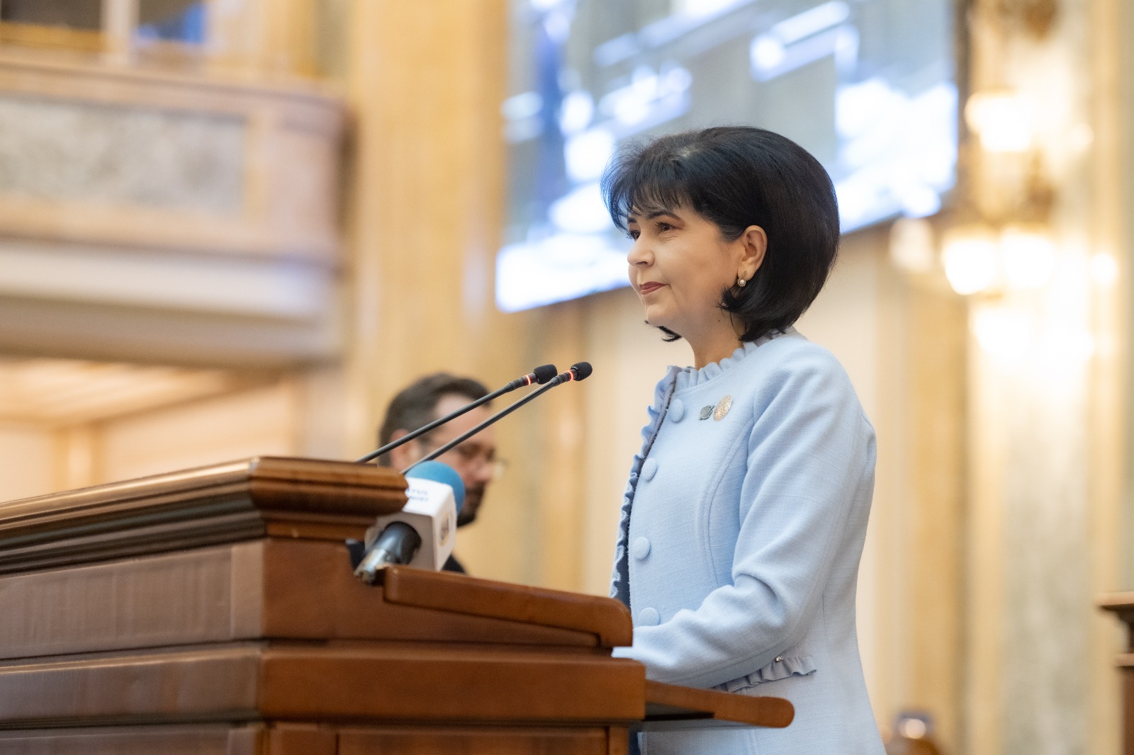 Senatorul PSD Doina Federovici cere clarificări privind demersurile pentru includerea României în Programul Visa Waiver