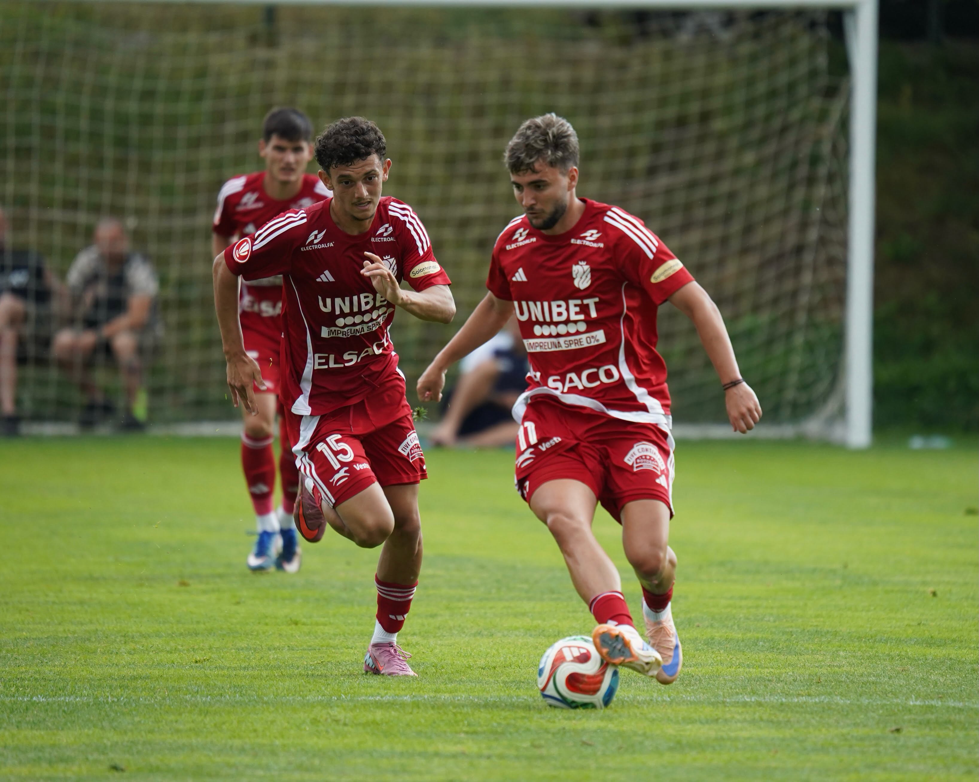 jucatori fc botosani
