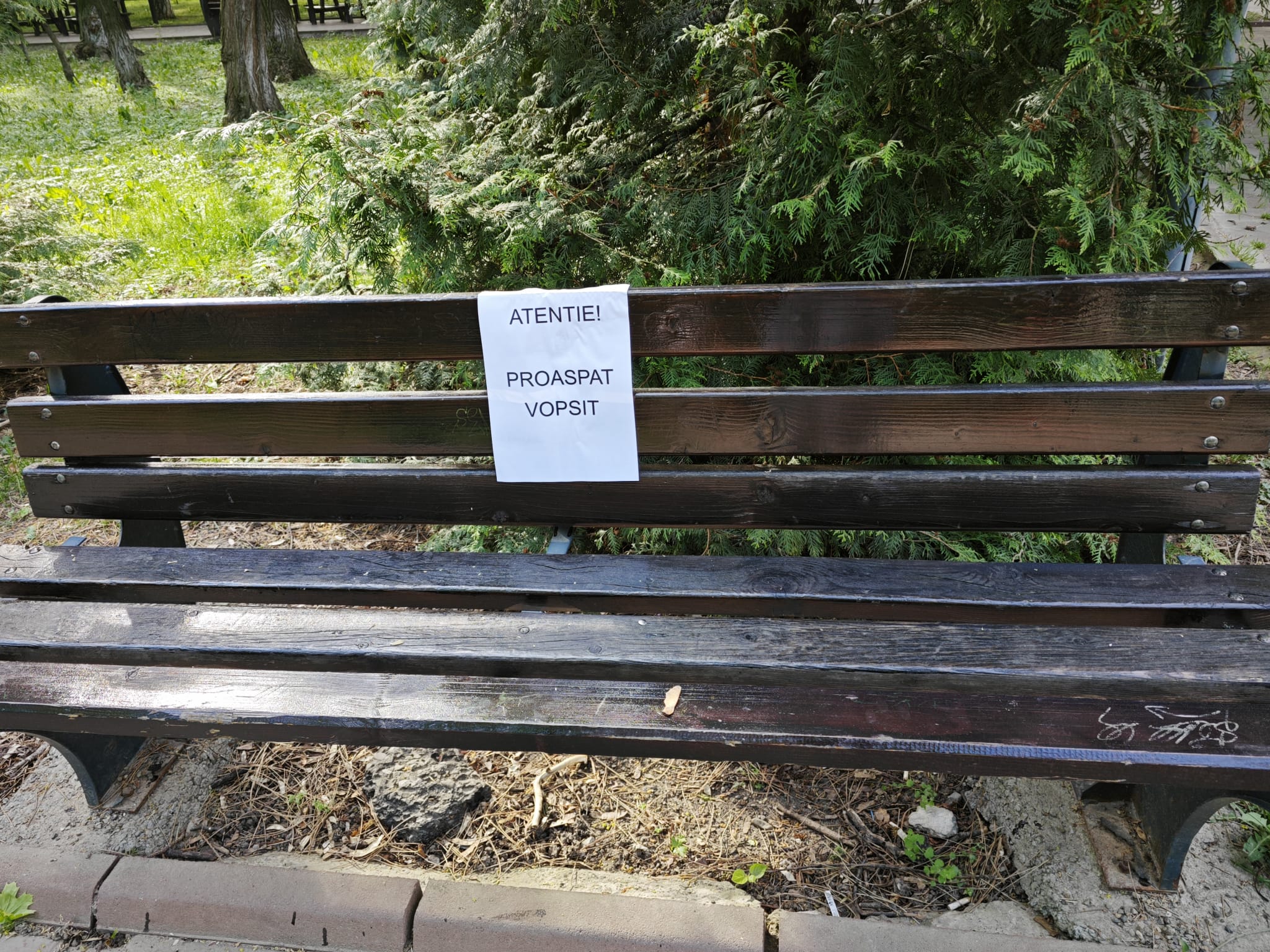 Poza zilei 7 mai 2024 