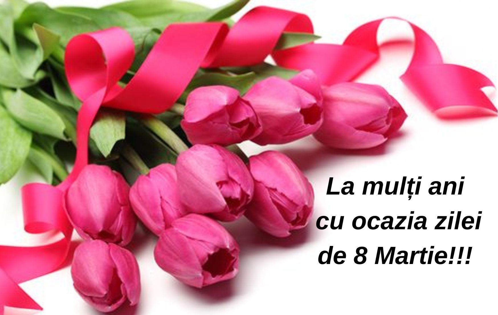 Vicepreședintele CJ, Constantin Bursuc, mesaj de 8 Martie despre rolul esențial pe care femeile îl au în comunitatea noastră