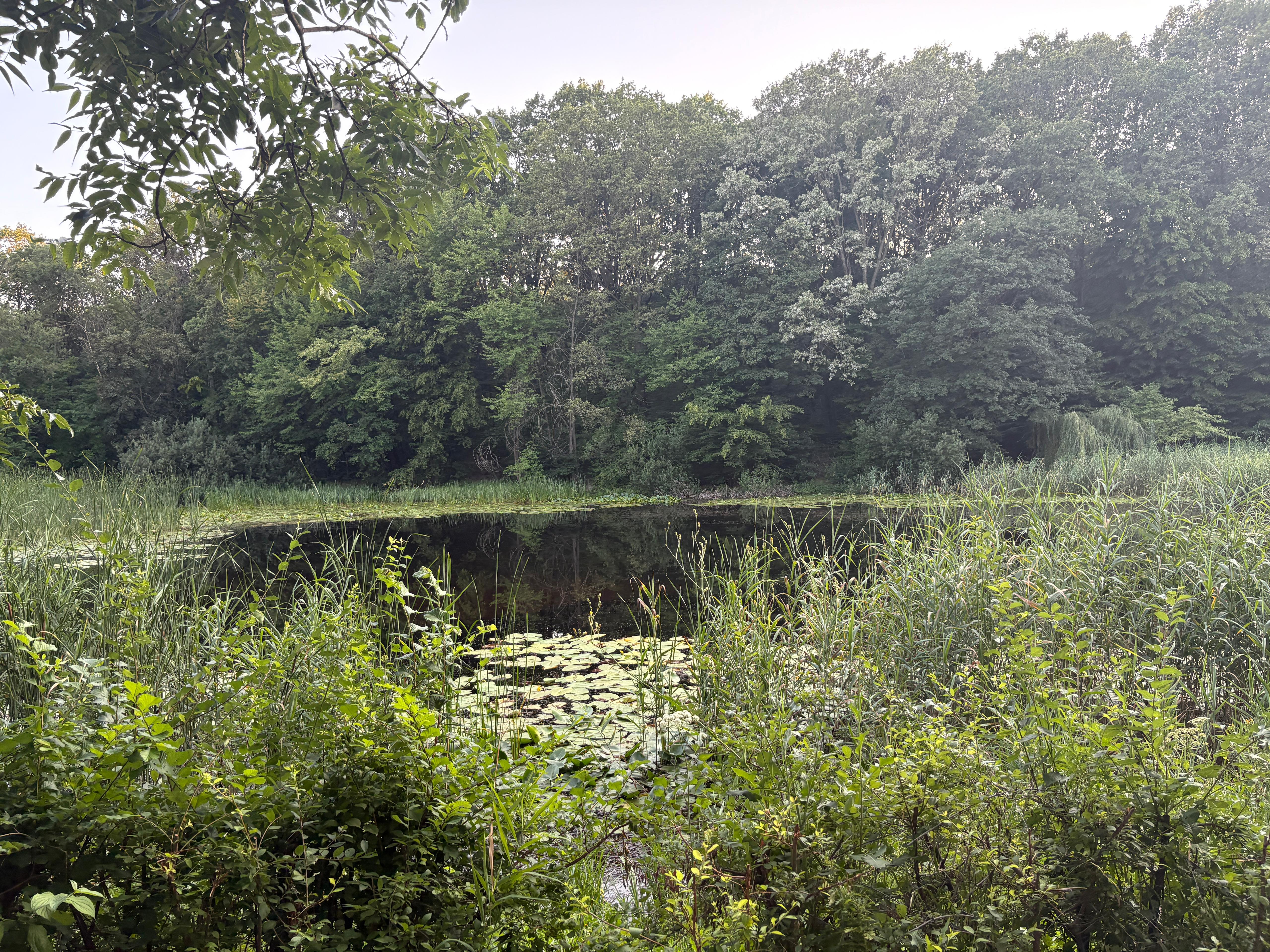 Soclul de pe insula de la Lacul cu nuferi va fi decorat în cadrul taberei de mozaic 