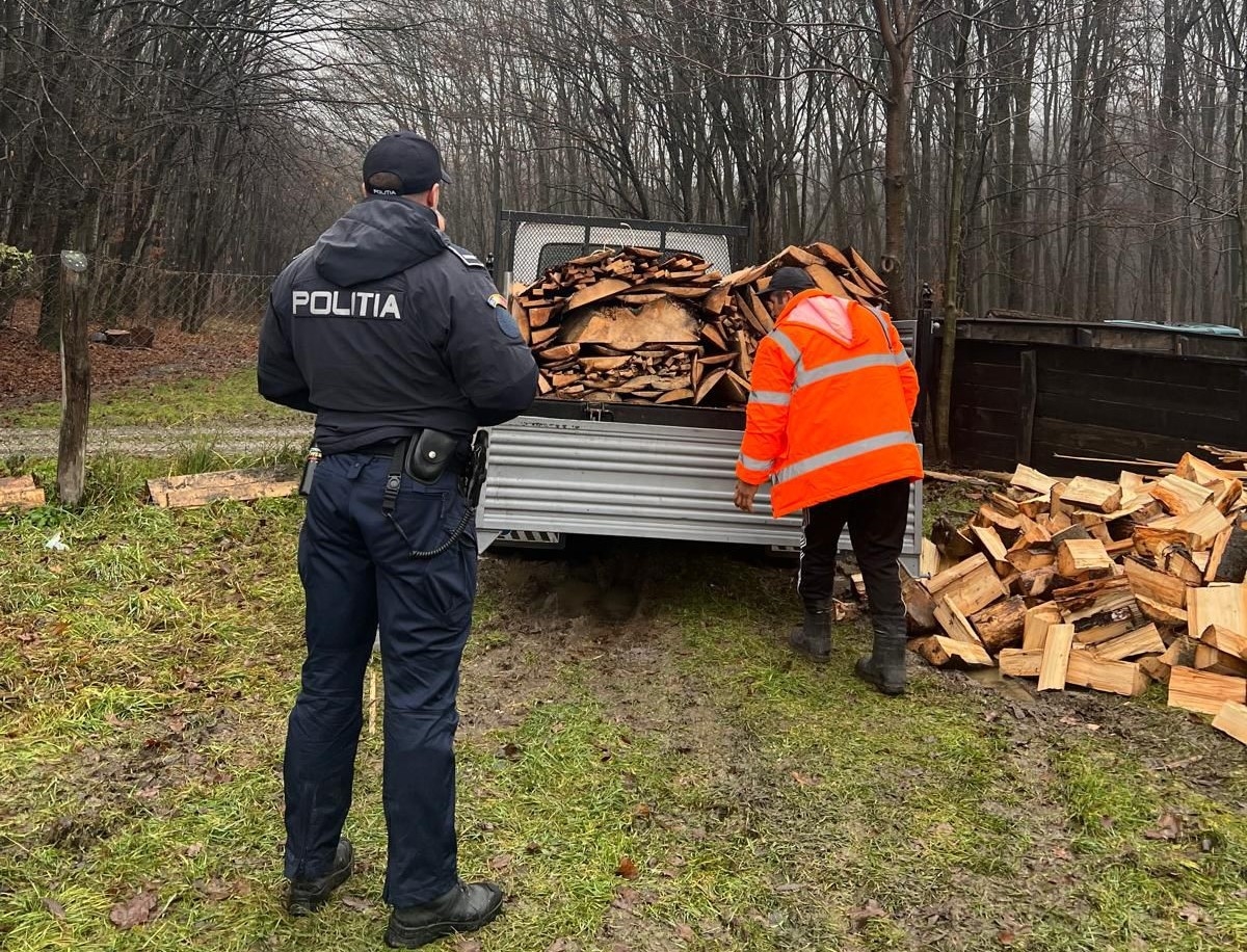 Mașină plină cu lemne trasă pe dreapta, șoferul a fost amendat
