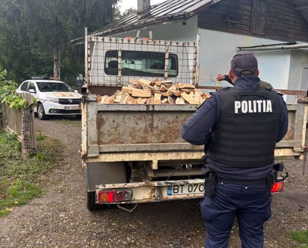 Polițiștii botoșăneni, pe urmele hoților de lemne: Un șofer a fost prins în flagrant 